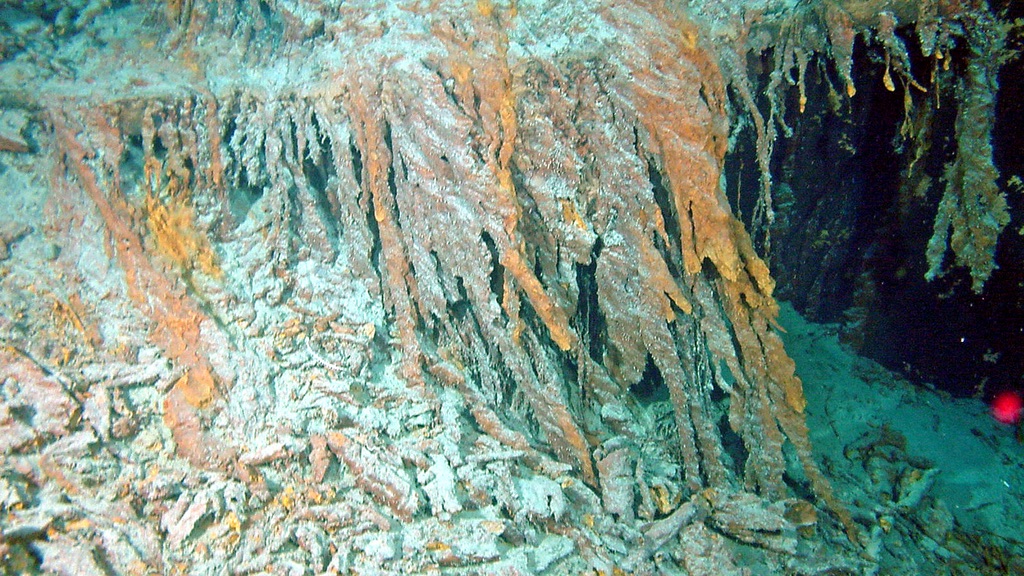 Halomonas titanicae